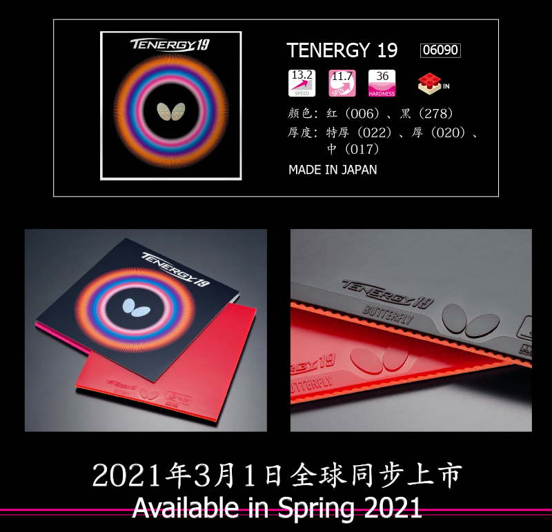 tenergy19-2.jpg